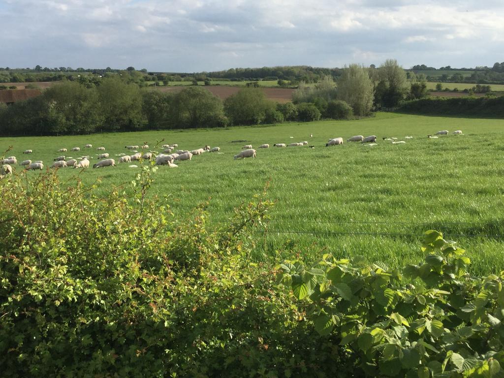 Abbey Farm Glamping & Cottage Thame Exterior foto