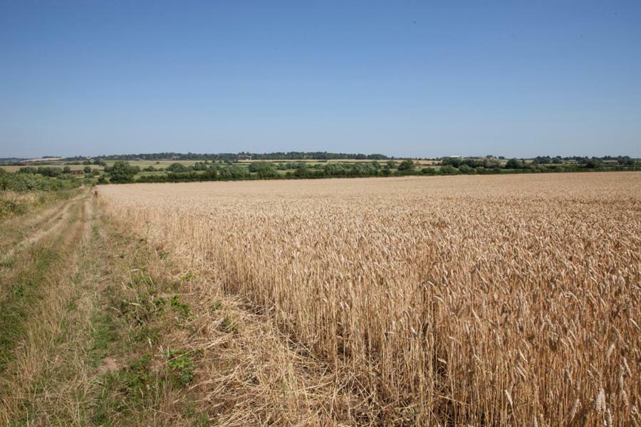 Abbey Farm Glamping & Cottage Thame Exterior foto